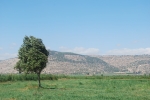 israel nature reserve